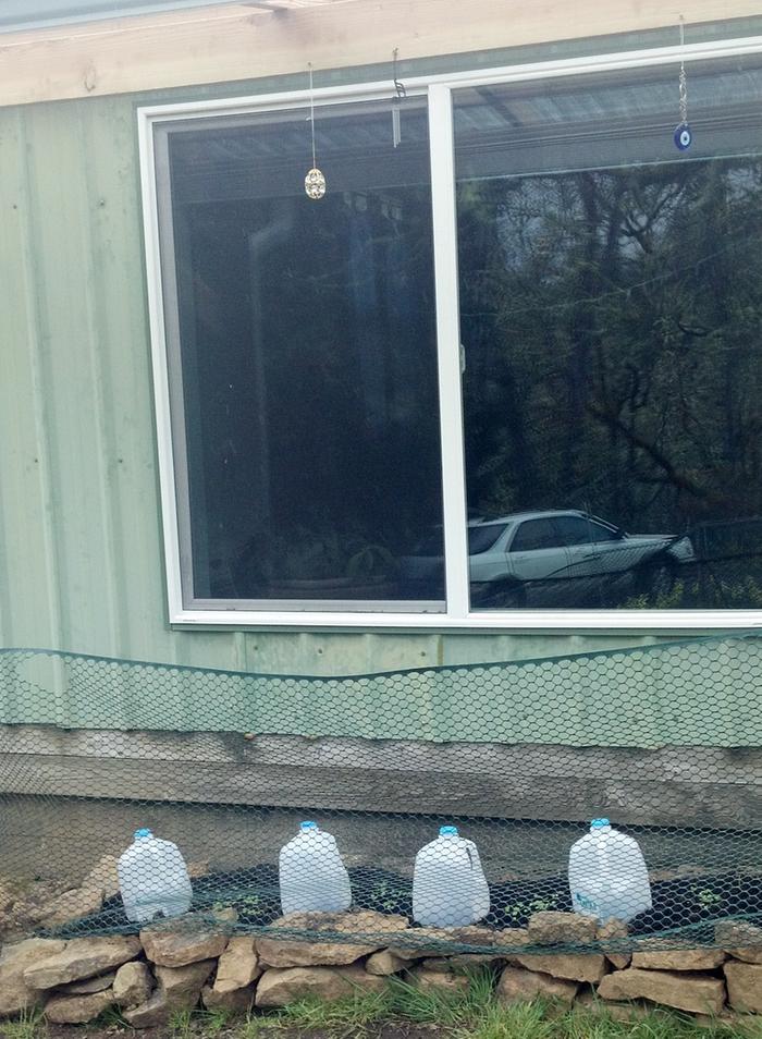 [Thumbnail for hot window.jpg]
